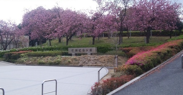 4/8 周辺