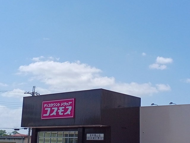 6/9 周辺