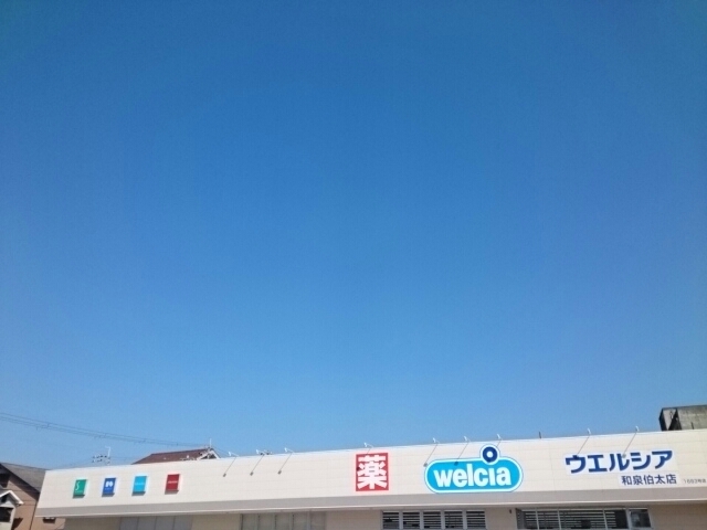 5/8 周辺
