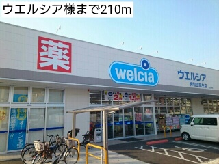 8/8 周辺