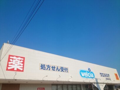 14/17 周辺