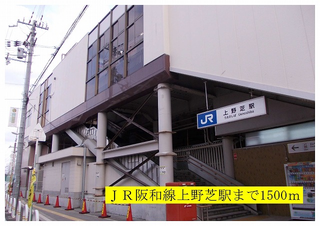 3/8 周辺