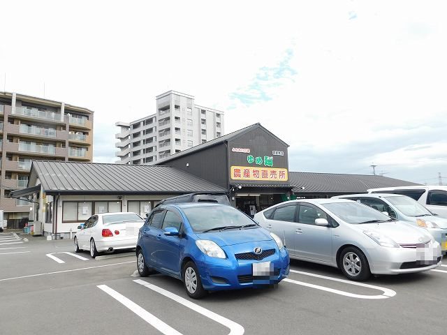 19/20 周辺