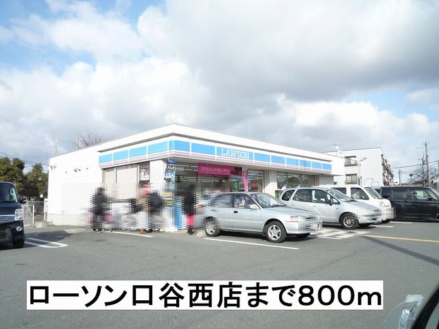 20/20 周辺