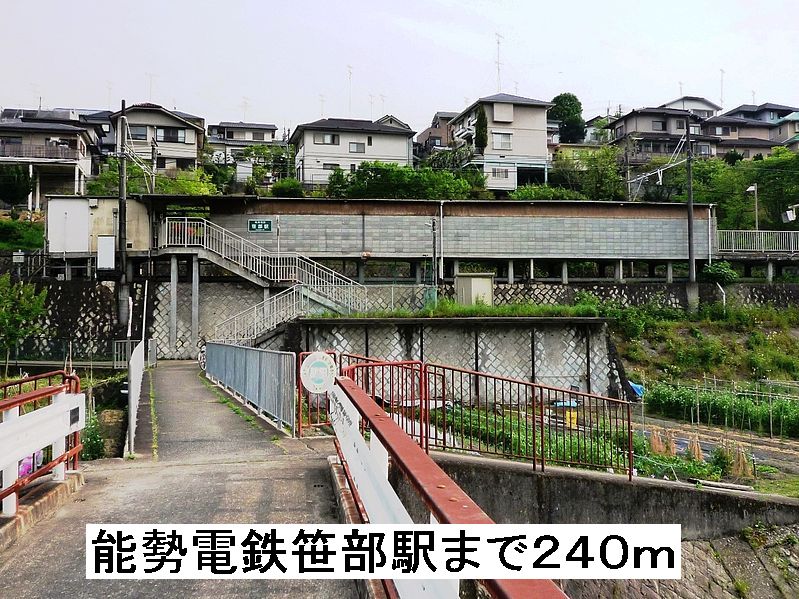 20/20 周辺