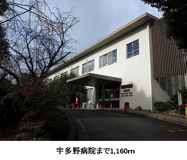 6/8 周辺