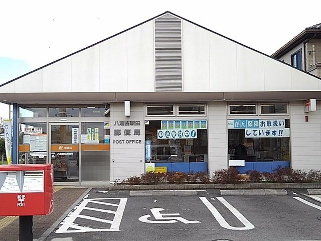 4/8 周辺