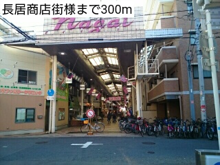 20/20 周辺