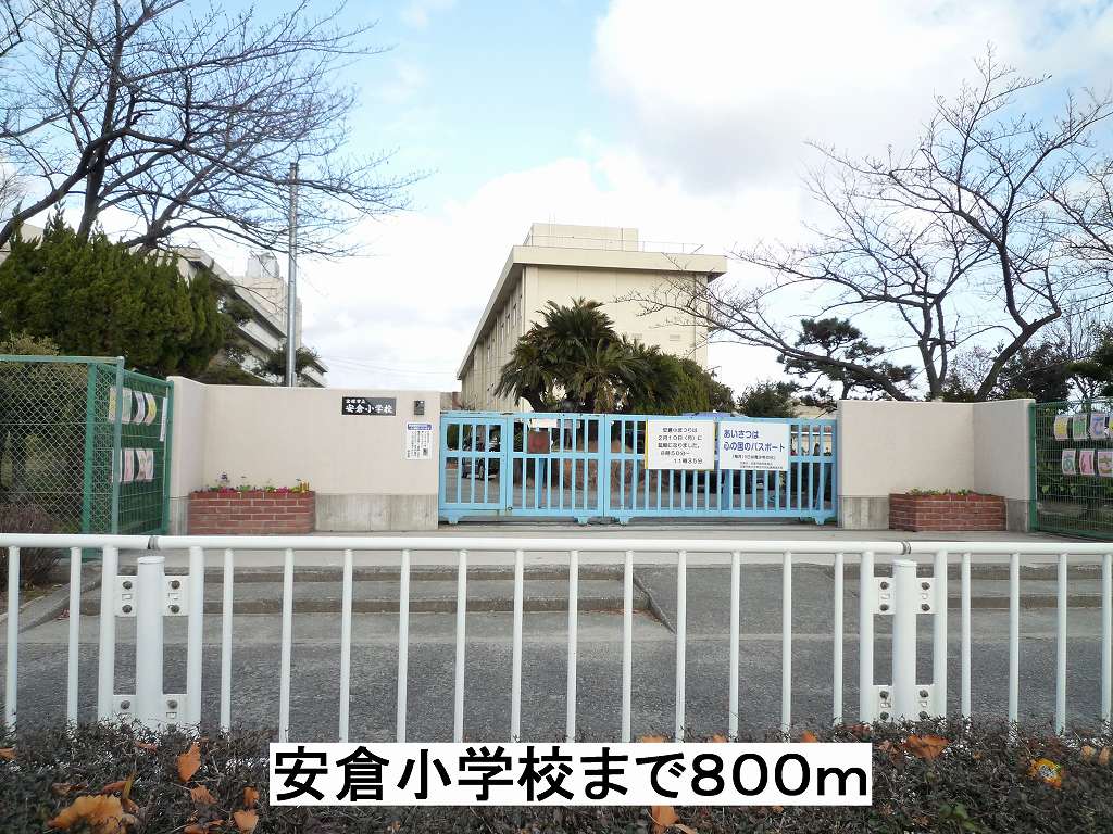 4/7 周辺
