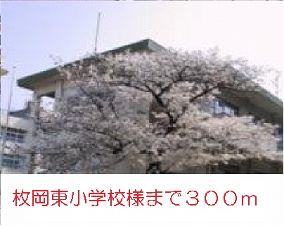 19/20 周辺