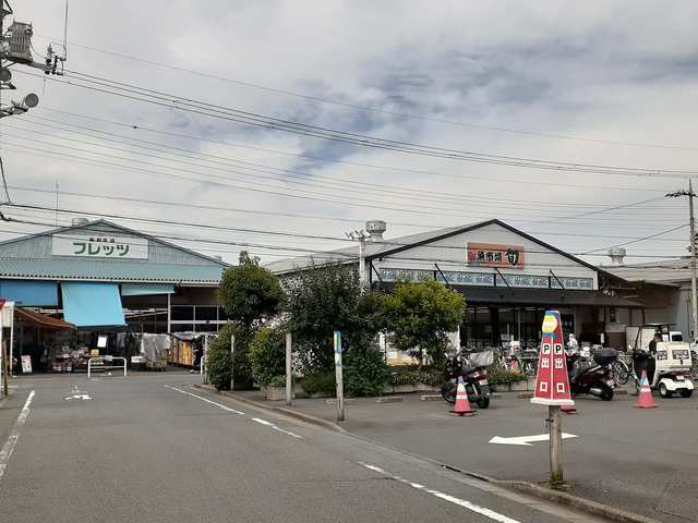 17/22 周辺