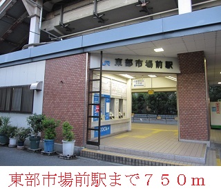 15/19 周辺