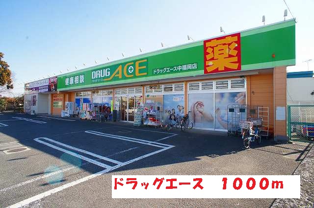 8/8 周辺