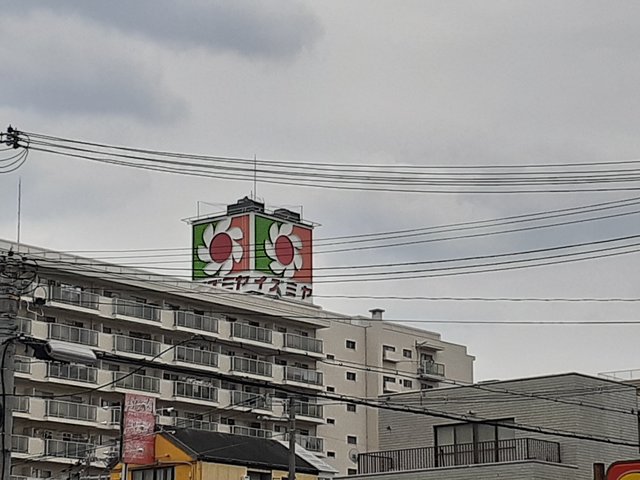 18/19 周辺