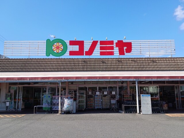 5/8 周辺