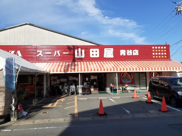3/8 周辺