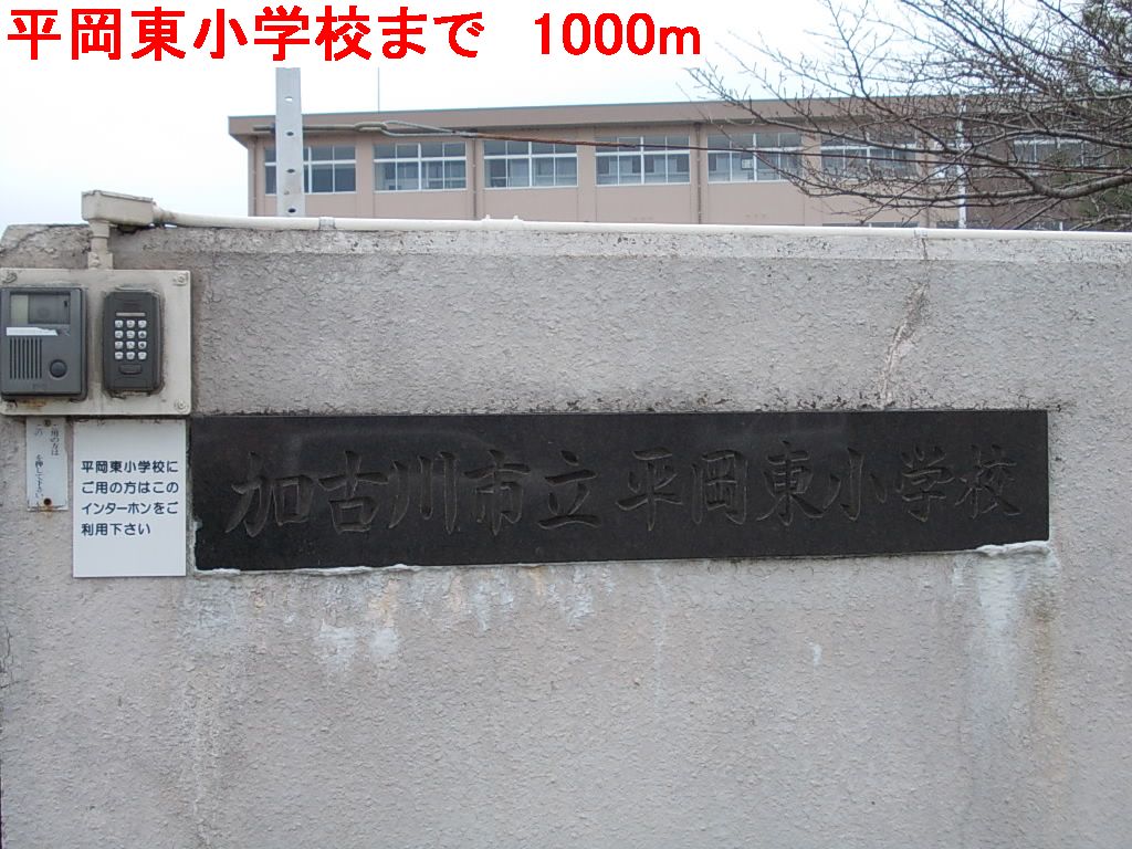 20/20 周辺