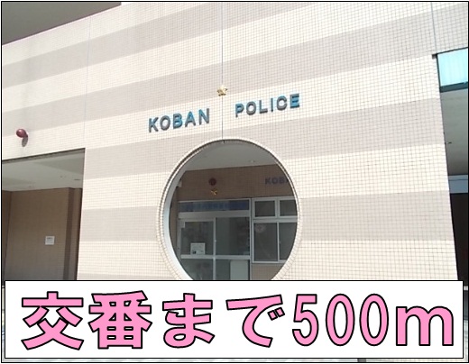 20/20 周辺