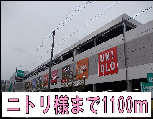 3/7 周辺