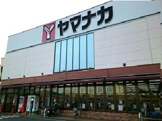 4/7 周辺
