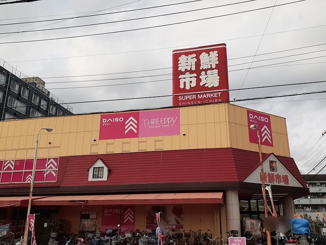 6/6 周辺