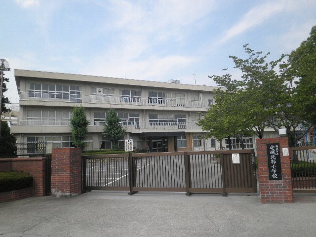 29/30 周辺