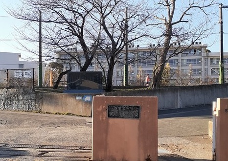 20/20 周辺