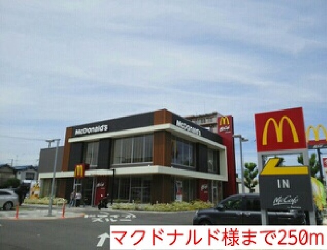 3/6 周辺
