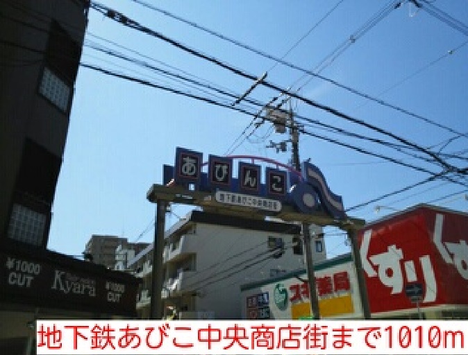 5/6 周辺