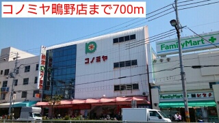 19/20 周辺
