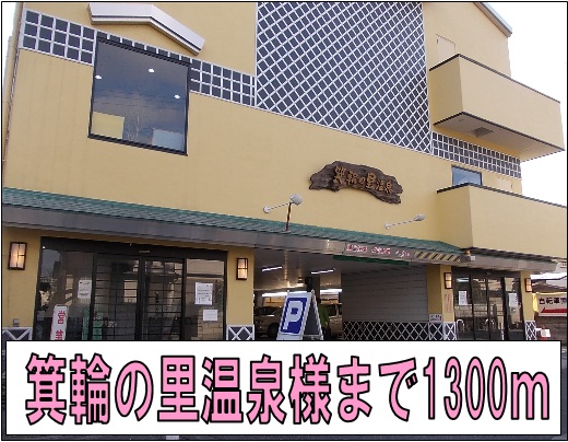 20/20 周辺