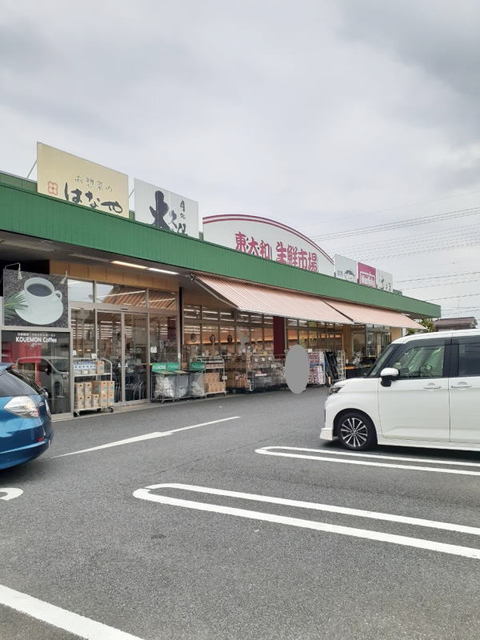 20/20 周辺