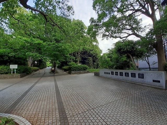 3/8 周辺