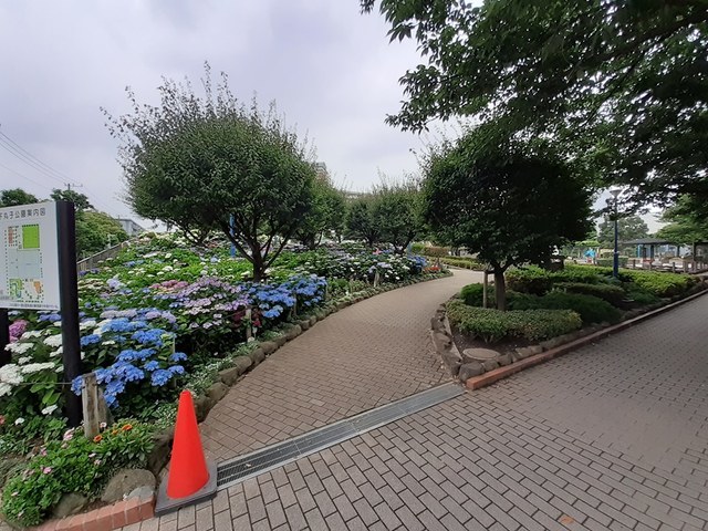 5/8 周辺