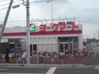17/25 周辺