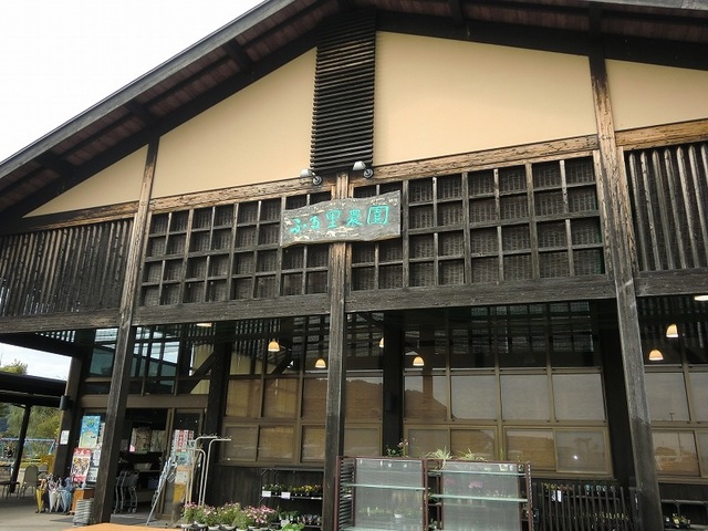 8/8 周辺