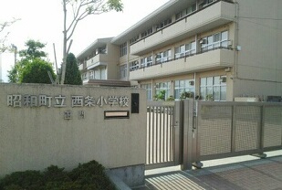 19/20 周辺