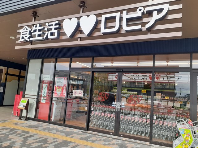 4/9 周辺