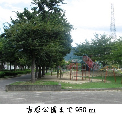 7/7 周辺