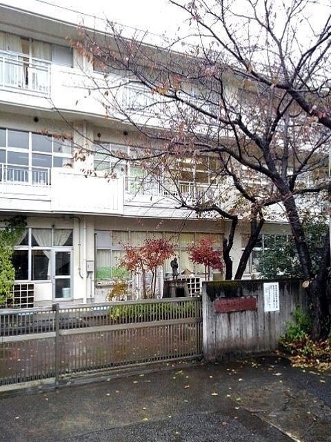 2/7 周辺