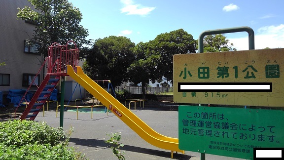6/9 周辺