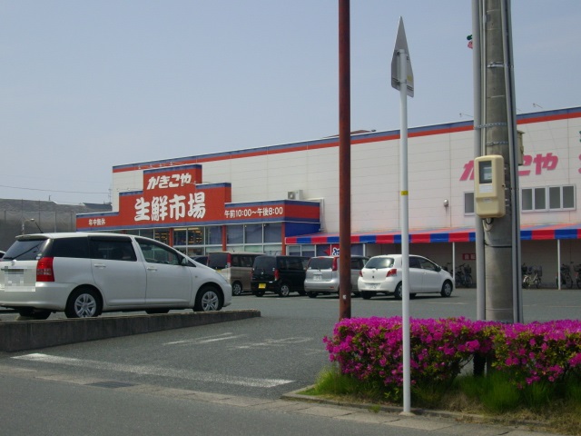 17/24 周辺