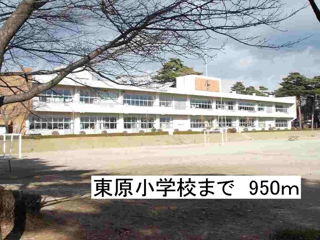 20/20 周辺