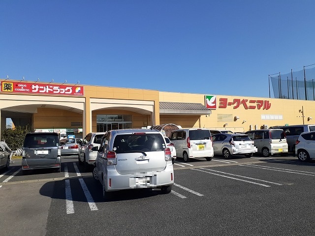 3/8 周辺