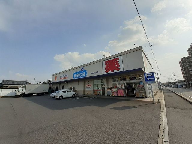 7/7 周辺