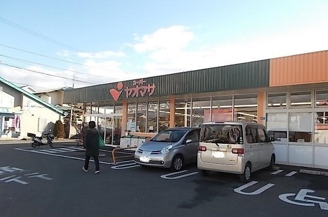 3/7 周辺