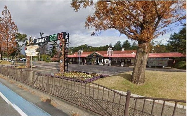 20/20 周辺