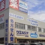 4/9 周辺