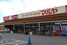 17/25 周辺