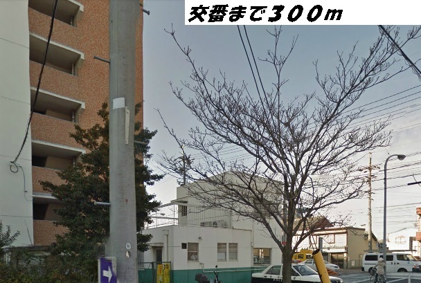 20/24 周辺